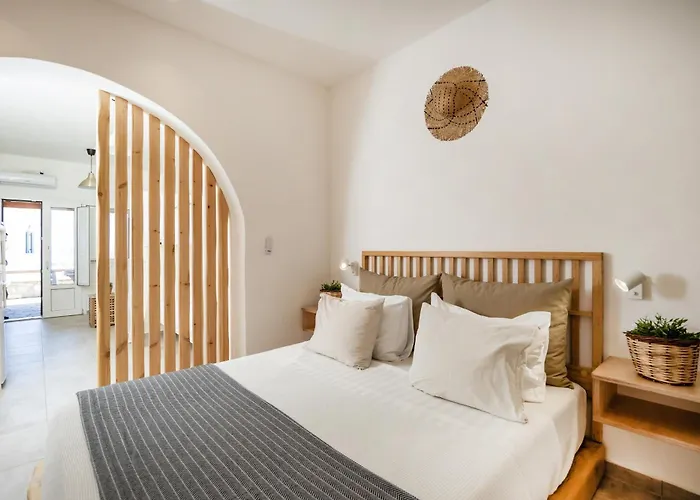 公寓式酒店 Thea Naxos 4*