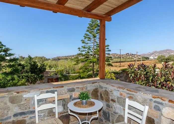 Thea Naxos 公寓式酒店