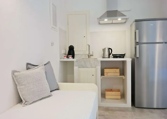 公寓式酒店 Thea Naxos 4*